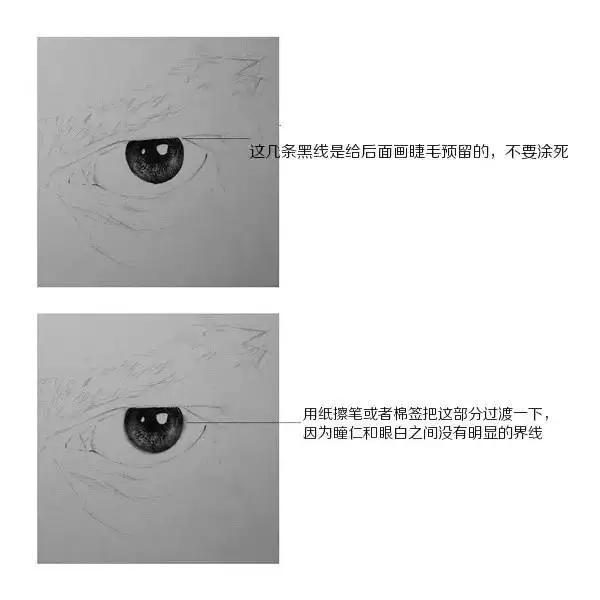 超寫(xiě)實(shí)眼睛素描畫(huà)法步驟圖解