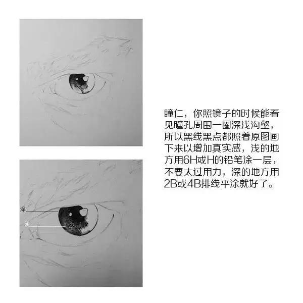 超寫(xiě)實(shí)眼睛素描畫(huà)法步驟圖解
