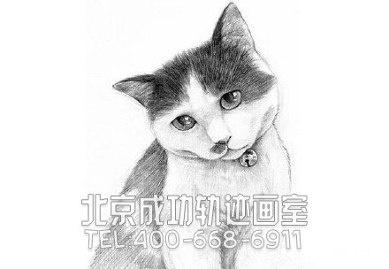 貓?jiān)趺串?貓的素描教程