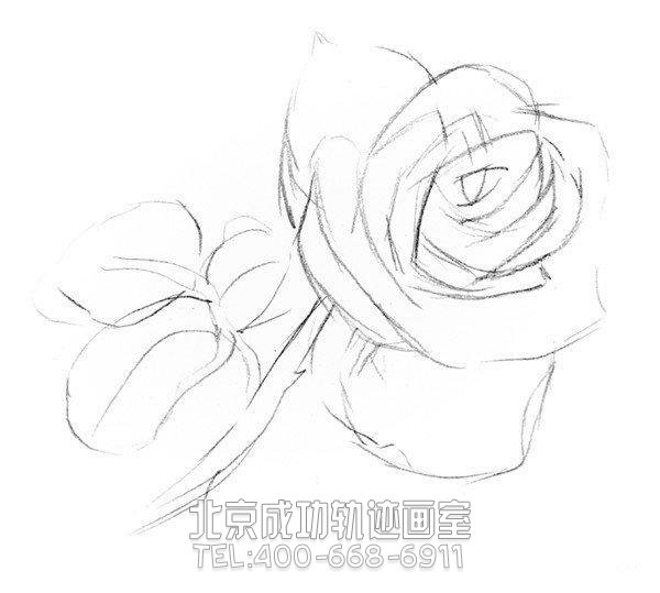 玫瑰素描簡(jiǎn)單畫法步驟